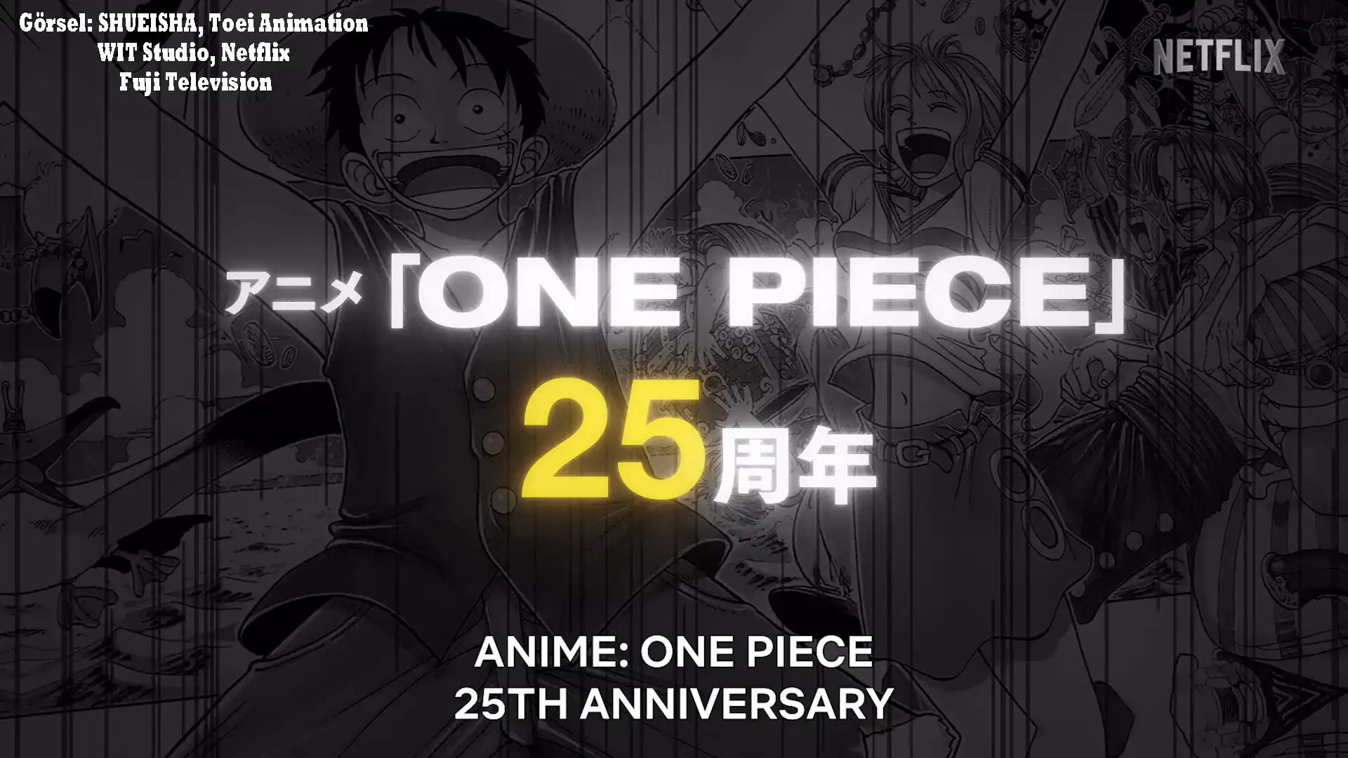 The One Piece 25. yıl