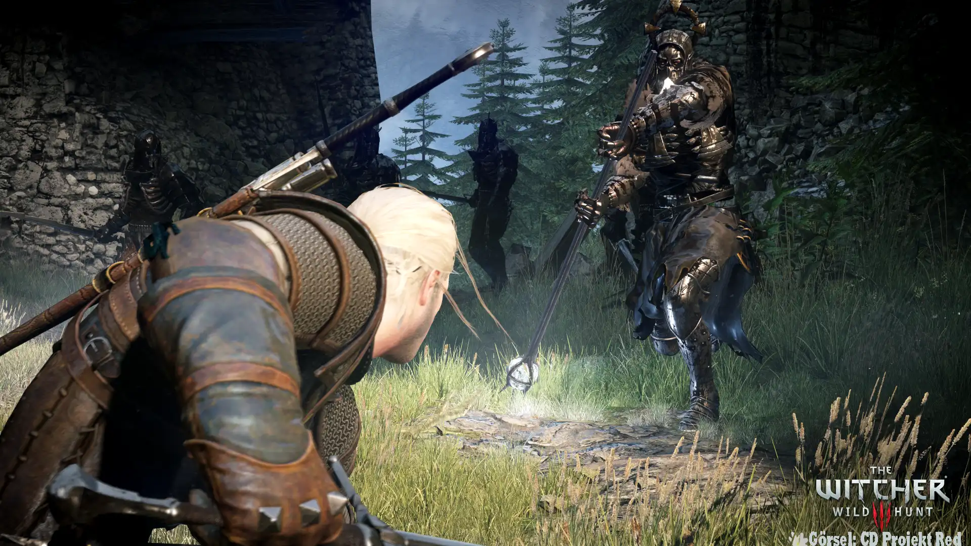 RPG - The Witcher 3 The Wild Hunt - Rol Yapma